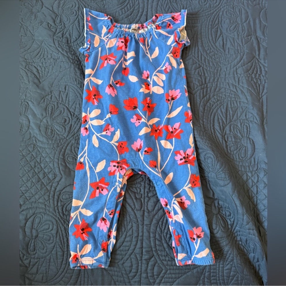 Blue Floral Baby Romper with Red & Pink Flowers